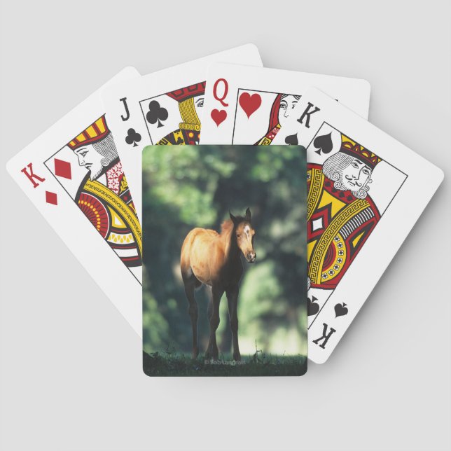 Arab Foal in the Trees Poker Cards (Back)