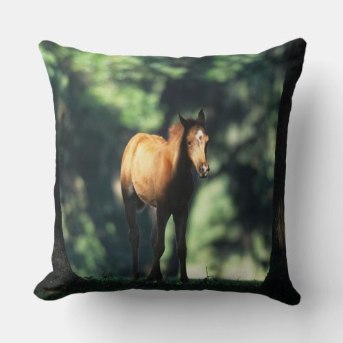 Arab Foal in the Trees Throw Pillow