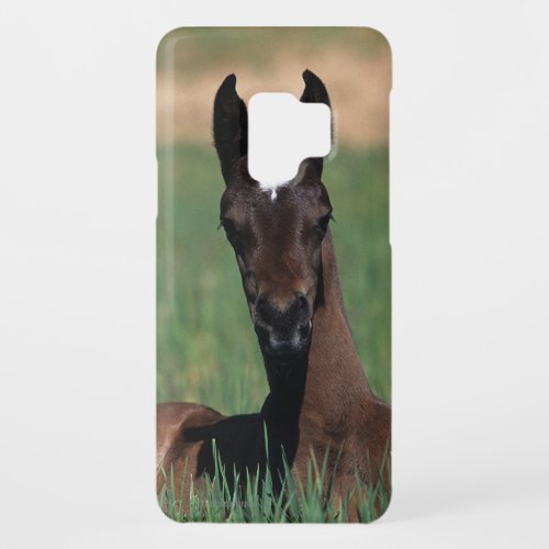 Arab Foal Laying Down Case_Mate Samsung Galaxy S9 Case