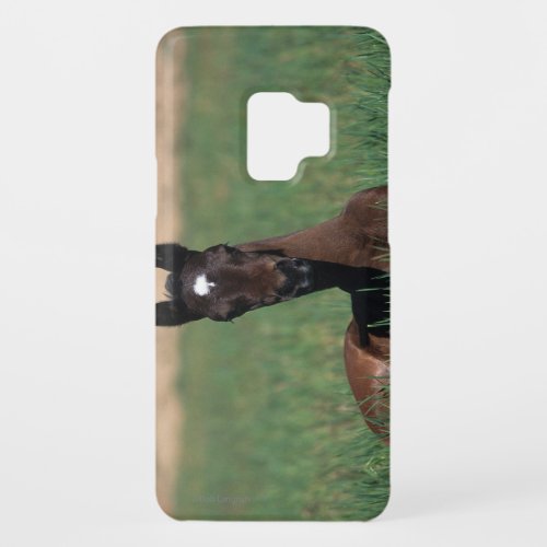 Arab Foal Laying Down Case_Mate Samsung Galaxy S9 Case