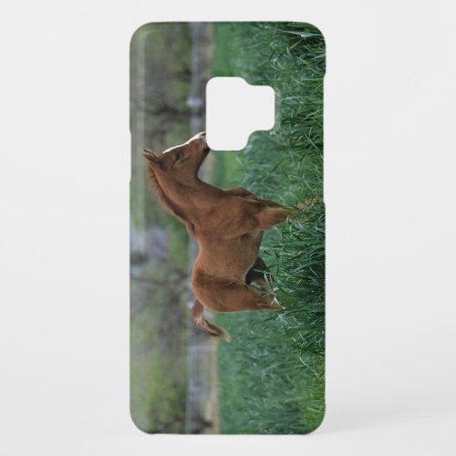 Arab Foal Standing Case_Mate Samsung Galaxy S9 Case