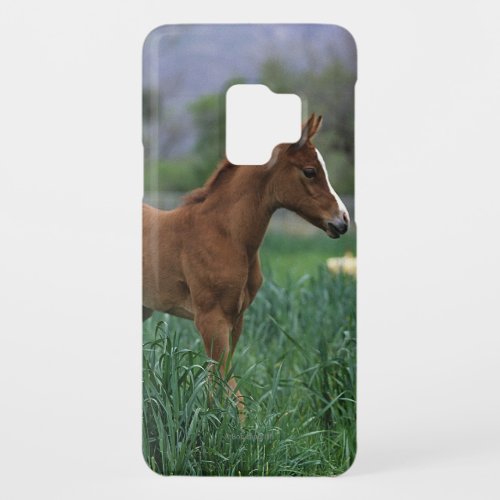 Arab Foal Standing Case_Mate Samsung Galaxy S9 Case