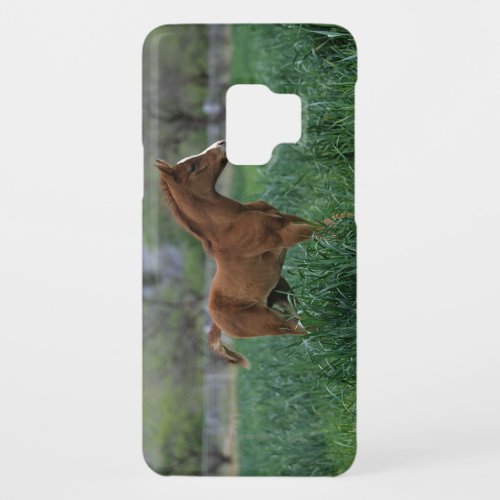 Arab Foal Standing Case_Mate Samsung Galaxy S9 Case