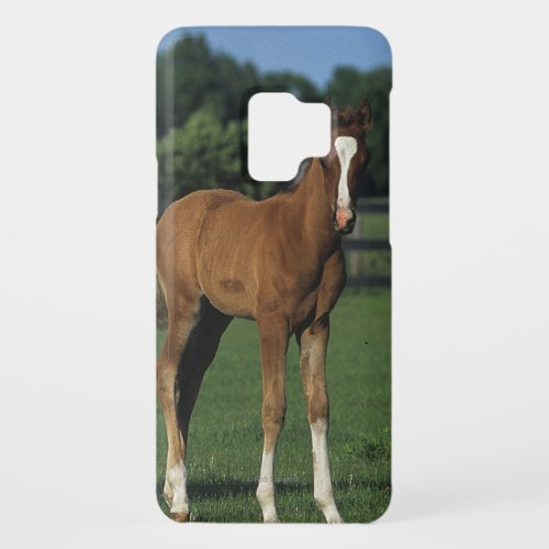 Arab Foals Standing in Grassy Field Case_Mate Samsung Galaxy S9 Case