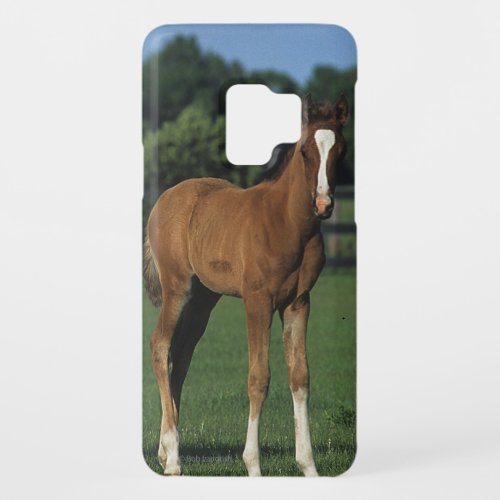 Arab Foals Standing in Grassy Field Case_Mate Samsung Galaxy S9 Case