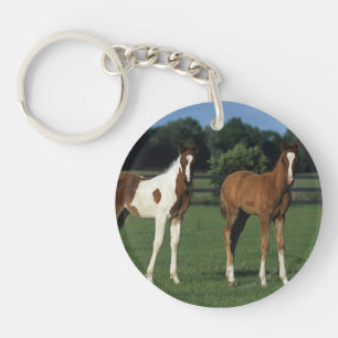 Arab Foals Standing in Grassy Field Keychain