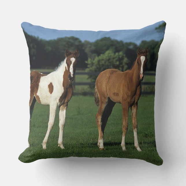 Arab Foals Standing in Grassy Field Throw Pillow (Front)