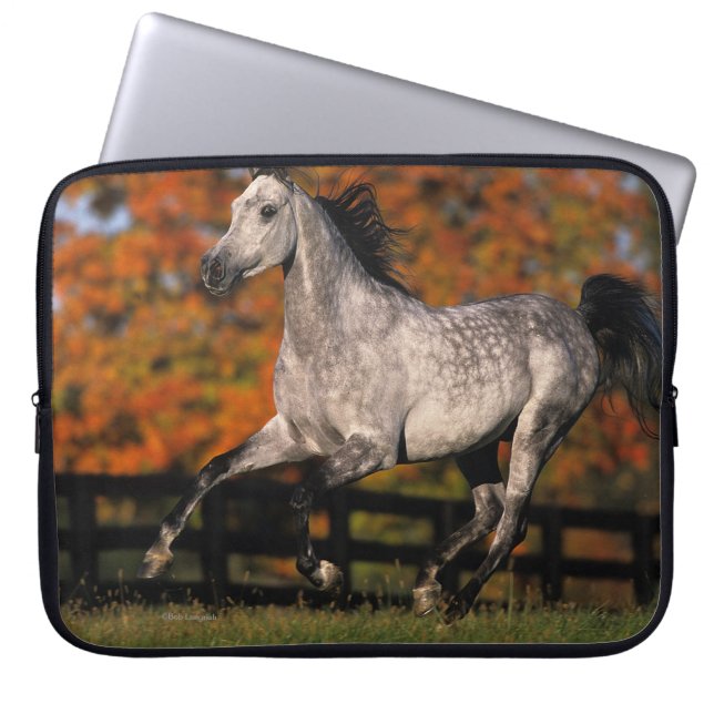 Arab Horse: Autumn 1 Laptop Sleeve (Front)