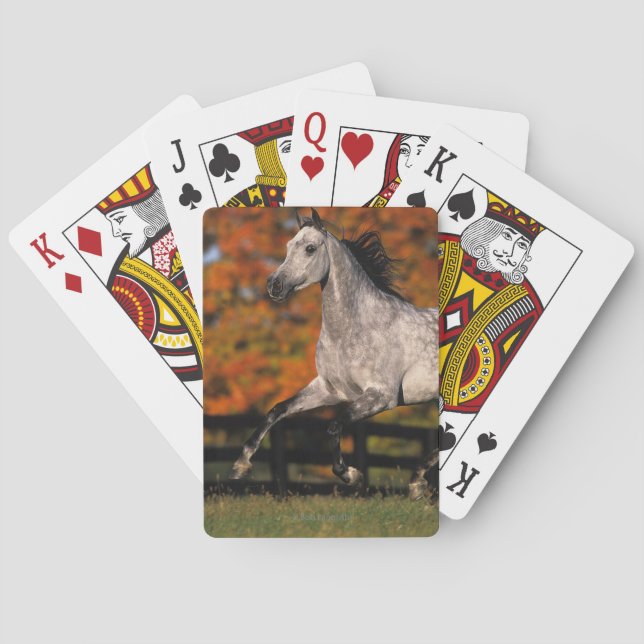 Arab Horse: Autumn 1 Poker Cards (Back)