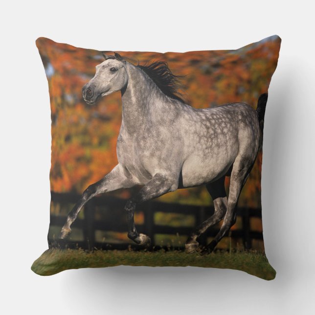 Arab Horse: Autumn 1 Throw Pillow (Front)
