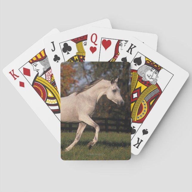Arab Horse: Autumn 2 Poker Cards (Back)