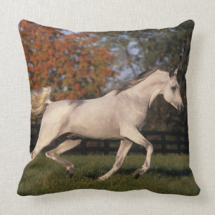 Arab Horse: Autumn 2 Throw Pillow