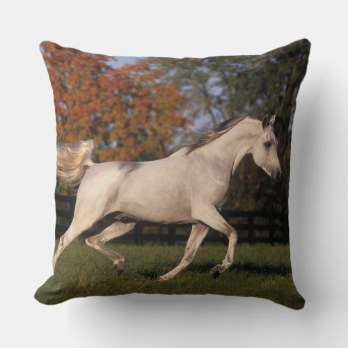 Arab Horse Autumn 2 Throw Pillow