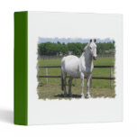 Arab Horse Binder