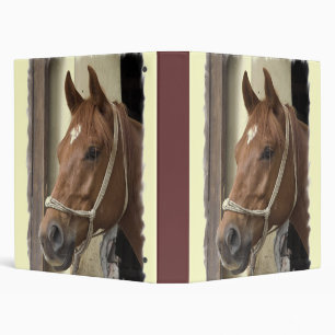Arab Horse Binder