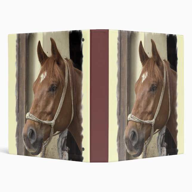 Arab Horse Binder (Background)