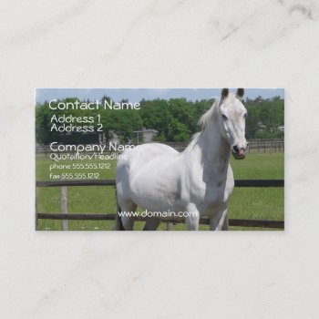 Arab Horse Business Card by HorseStall at Zazzle