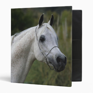 Arab Horse Headshot 1 Binder