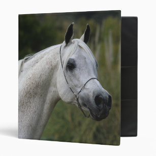 Personalize Your Own Arab Binder Stay Organized Today Zazzle