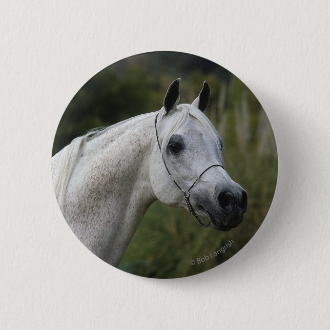 Arab Horse Headshot 1 Button (Front)