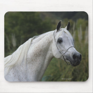 Arab Horse Headshot 1 Mouse Pad