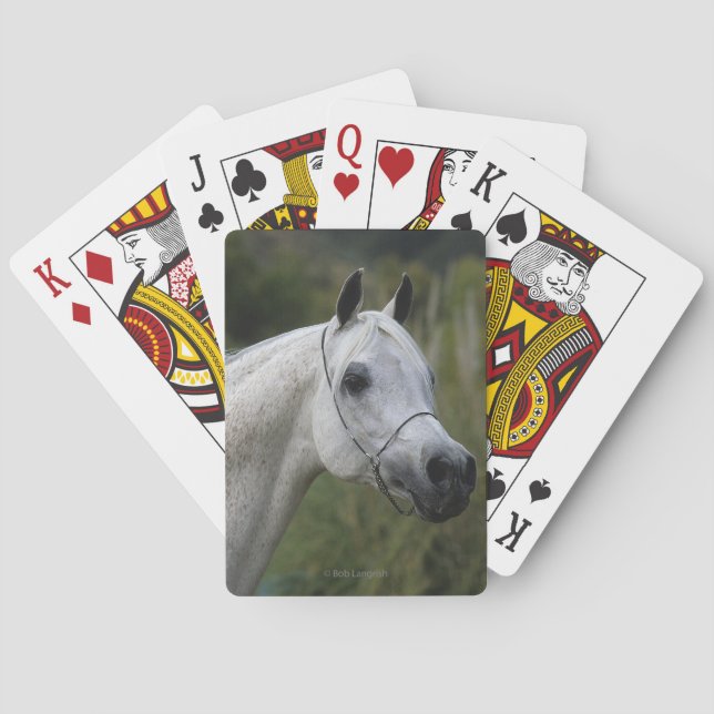 Arab Horse Headshot 1 Poker Cards (Back)