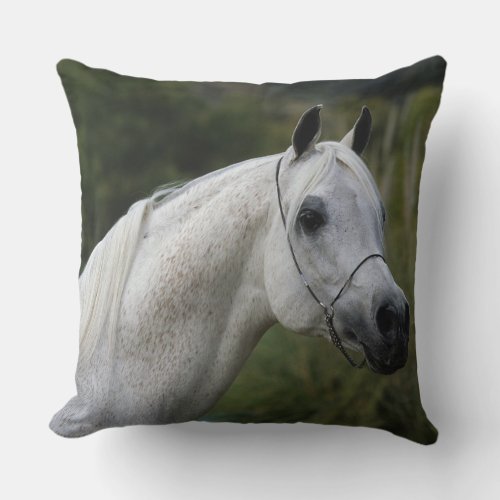 Arab Horse Headshot 1 Throw Pillow