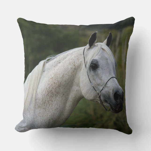 Arab Horse Headshot 1 Throw Pillow (Front)
