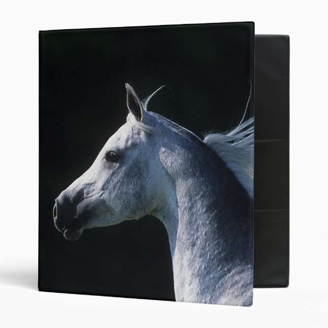 Arab Horse Headshot 2 Binder (Front/Inside)