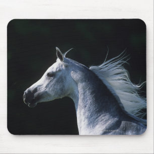 Arab Horse Headshot 2 Mouse Pad