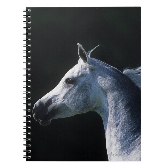 Arab Horse Headshot 2 Notebook (Front)