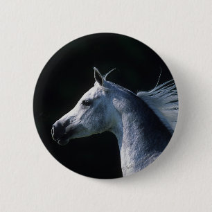 Arab Horse Headshot 2 Pinback Button