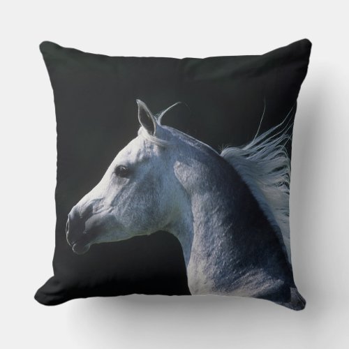 Arab Horse Headshot 2 Throw Pillow