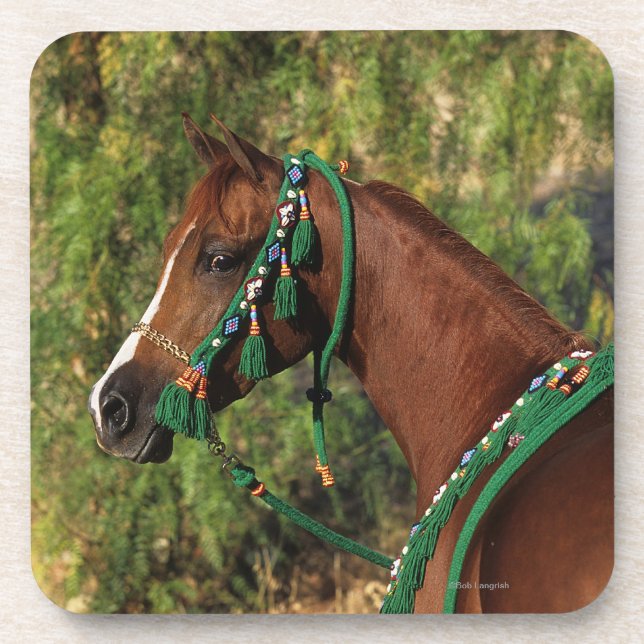 Arab Horse Headshot with Bridle Coaster (Front)