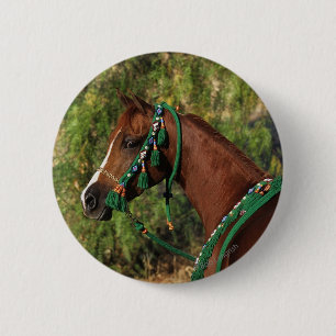 Arab Horse Headshot with Bridle Pinback Button