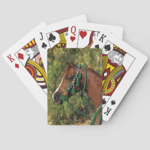 Arab Horse Headshot with Bridle Poker Cards