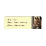 Arab Horse Return Address Label