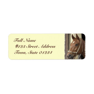 Arab Horse Return Address Label