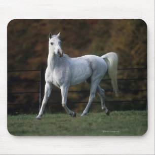 Arab Horse Running 1 Mouse Pad