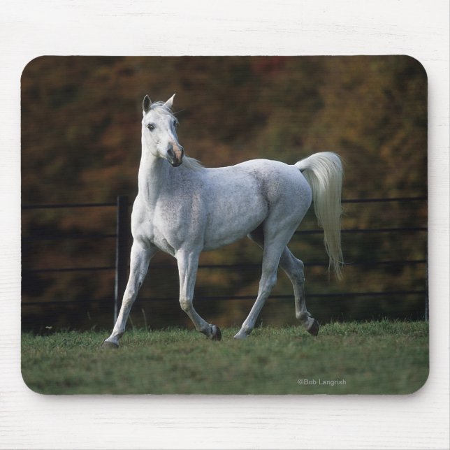 Arab Horse Running 1 Mouse Pad (Front)