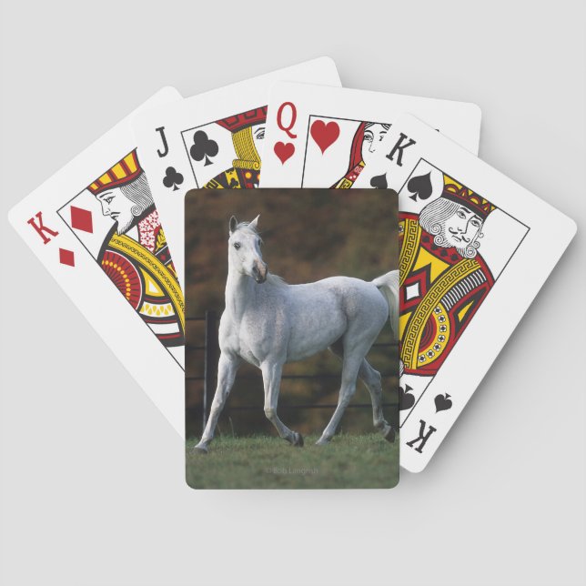 Arab Horse Running 1 Poker Cards (Back)