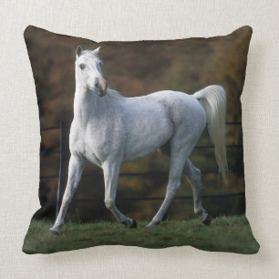 Arab Horse Running 1 Throw Pillow