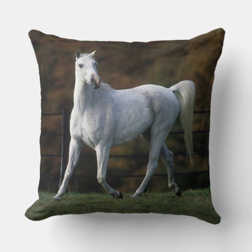 Arab Horse Running 1 Throw Pillow