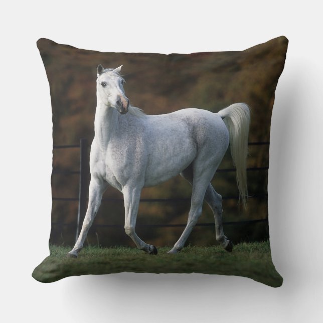 Arab Horse Running 1 Throw Pillow (Front)