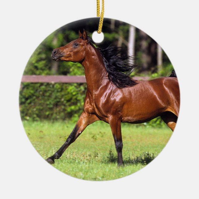 Arab Horse Running 2 Ceramic Ornament (Front)