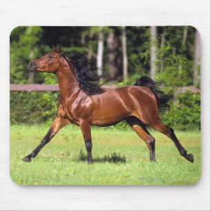 Arab Horse Running 2 Mouse Pad