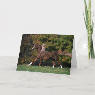 Arab Horse Running in Grassy Field Card
