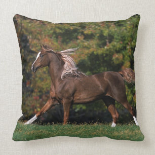 Arab Horse Running in Grassy Field Throw Pillow