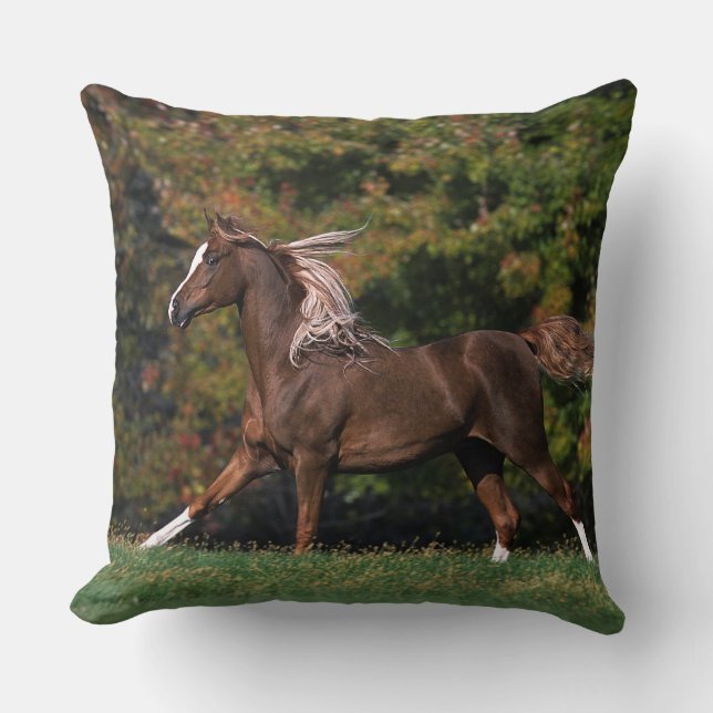 Arab Horse Running in Grassy Field Throw Pillow (Front)