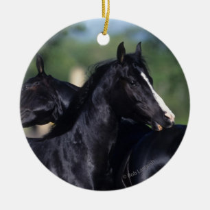 Arab Horse Scratching Ceramic Ornament